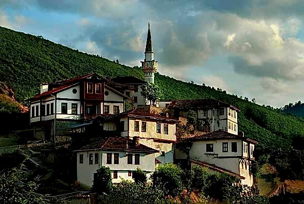 Acarlar Halı Yıkama